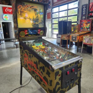 RAVEN-1986 Gottlieb Pinball Machine