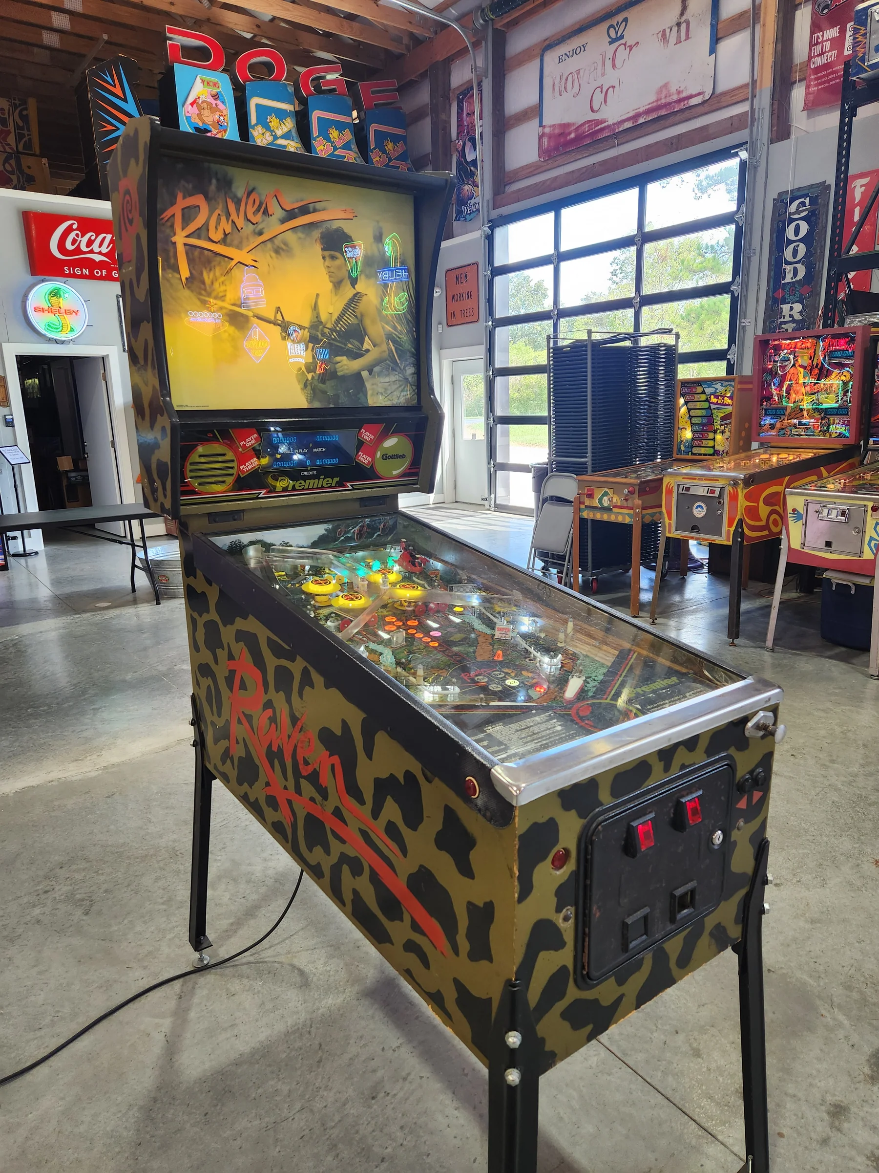 RAVEN-1986 Gottlieb Pinball Machine