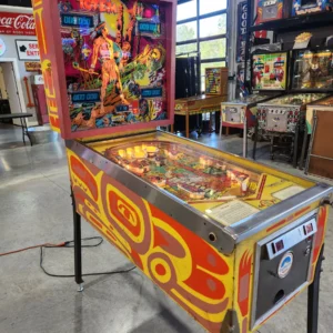 TOTEM-1979 Gottleb Pinball Machine