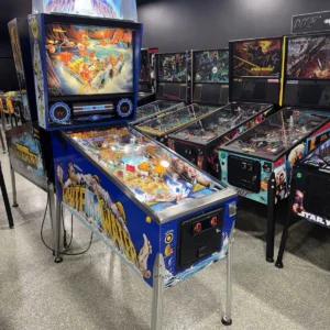 White Water Pinball Machine